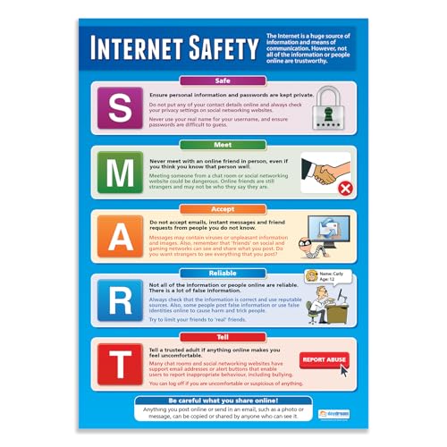 Daydream Education Lernposter „Internetsicherheit“, ICT-Poster, Glanzpapier, 850 x 594 mm (A1), Informatik-Wandposter für den Klassenraum (evtl. nicht in deutscher Sprache) von Daydream Education