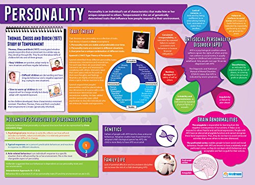 Daydream Education Poster „Personality“, laminiertes Hochglanzpapier, 850 x 594 mm (A1), Psychologieposter für Klassenzimmer von Daydream Education