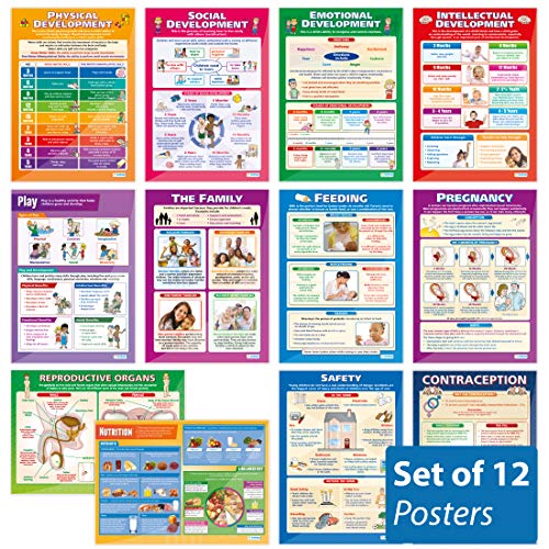 Daydream Education Poster 12-teiliges Posterset zu „Child Development“, Glanzpapier, 850 mm x 594 mm (A1), Lerntafeln (englische Version) von Daydream Education