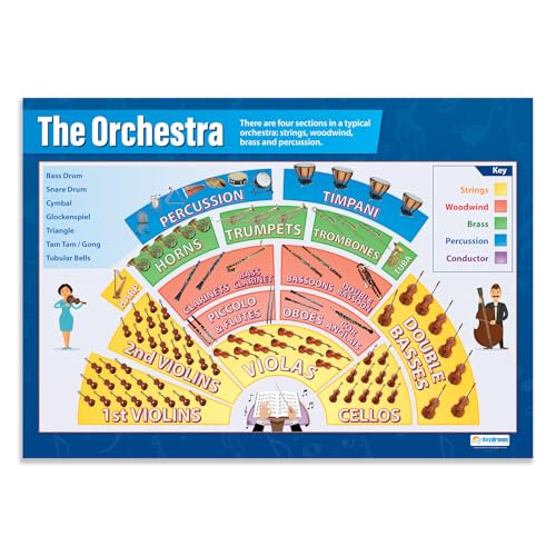 Daydream Education: Das Orchester, Musikposter, laminiertes Glanzpapier, 850 x 594 mm (A1), Musikposter für das Klassenzimmer, Bildungsposter (englische Version) von Daydream Education