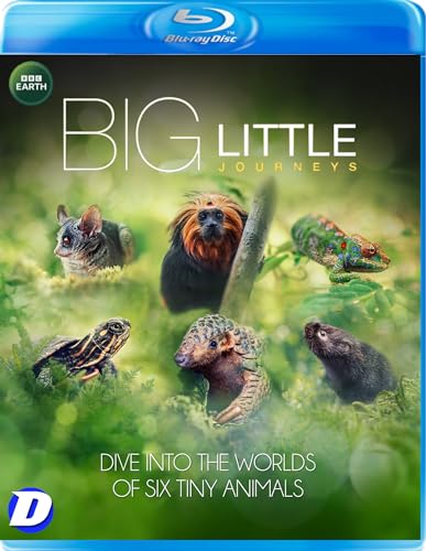Big Little Journeys Blu-Ray von Dazzler Media