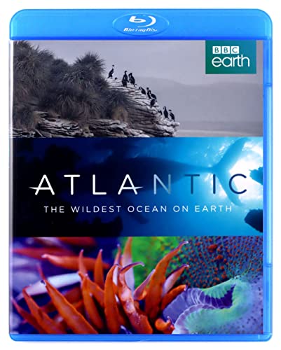 Atlantic: The Wildest Ocean on Earth [Blu-ray] [UK Import] von Dazzler