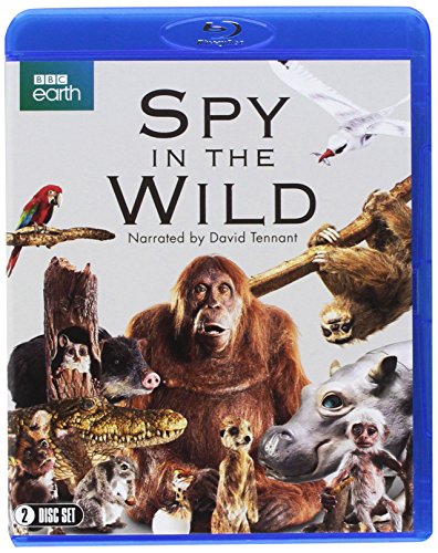 Spy in the Wild (BBC) (2-disc) [Blu-ray] von Dazzler