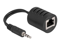 DeLOCK 87858, RJ-45, Weiblich, 3.5mm, Männlich, Schwarz DeLOCK 87858, RJ-45, Weiblich, 3.5mm, Männlich, Schwarz von DeLOCK