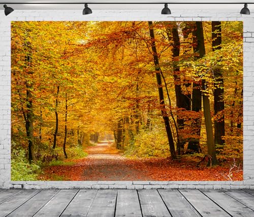 DePhoto Herbsthintergrund, Herbstwald, gefallene Blätter, echte natürliche Landschaft, Hintergrund für Thanksgiving, Baby, Geburtstag, Dekoration, Vinyl, 2,8 x 1,5 m DePhoto Herbsthintergrund, Herbstwald, gefallene Blätter, echte natürliche Landschaft, Hintergrund für Thanksgiving, Baby, Geburtstag, Dekoration, Vinyl, 2,8 x 1,5 m von DePhoto