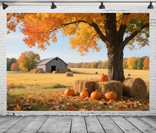 DePhoto Hintergrund aus goldenem Ahorn, 2,8 x 1,5 m, Laubkürbis-Scheunen-Ernte-Hintergrund für Thanksgiving-Party-Dekorationen, Vinyl DePhoto Hintergrund aus goldenem Ahorn, 2,8 x 1,5 m, Laubkürbis-Scheunen-Ernte-Hintergrund für Thanksgiving-Party-Dekorationen, Vinyl von DePhoto