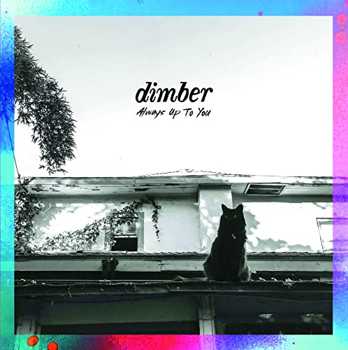 Always Up To You [Vinyl LP] von Dead Broke