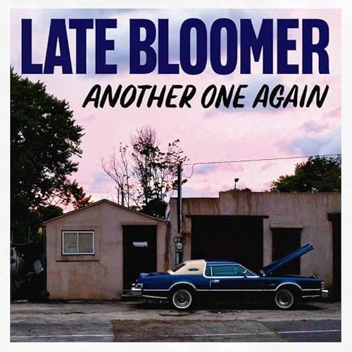 Another One Again [Vinyl LP] von Dead Broke