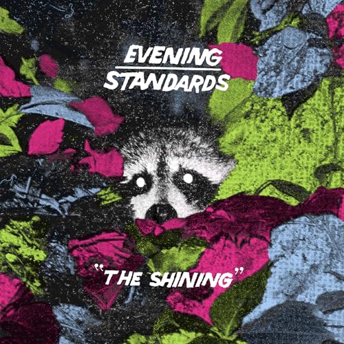 The Shining [Vinyl LP] von Dead Broke