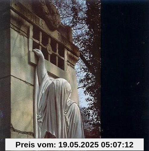 Within the Realm of Dying Sun Within the Realm of Dying Sun von Dead Can Dance