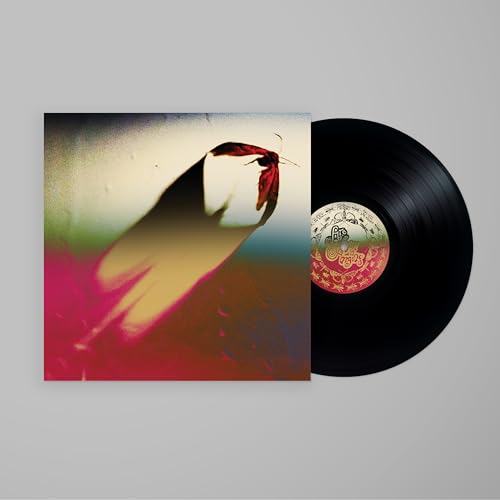 Are We All Angels [Vinyl LP] von Dead Oceans / Cargo