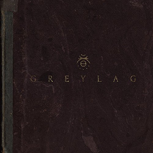 Greylag (Gold) von Dead oceans