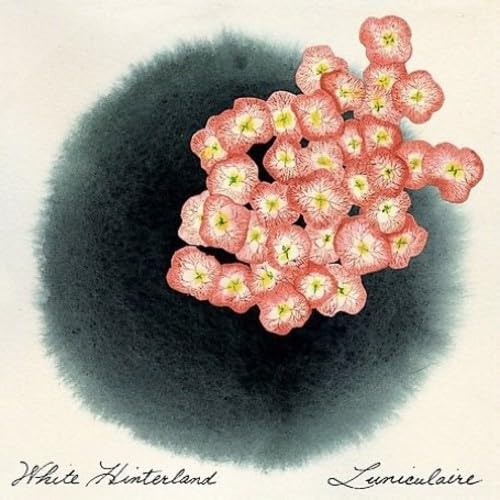 Luniculaire Ep von Dead oceans