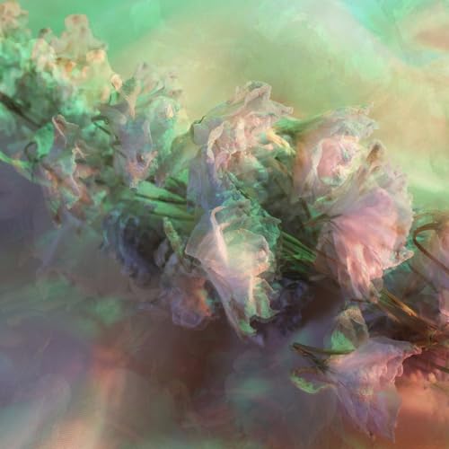 Dirge [Musikkassette] von Dear Life Records