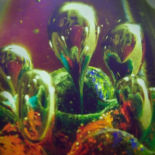 Level One Mage [Musikkassette] von Dear Life Records