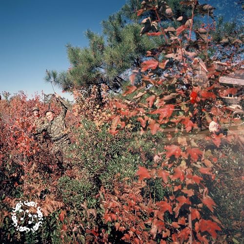 Separation [Musikkassette] von Dear Life Records