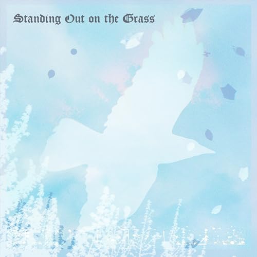 Standing Out on the Grass [Musikkassette] von Dear Life Records