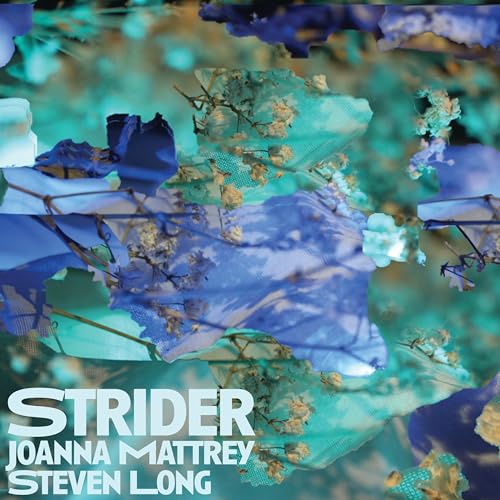 Strider [Musikkassette] von Dear Life Records