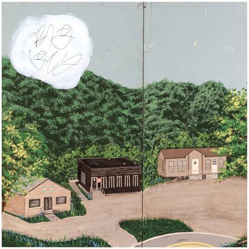 Big Ugly [Vinyl LP] von Dear Life