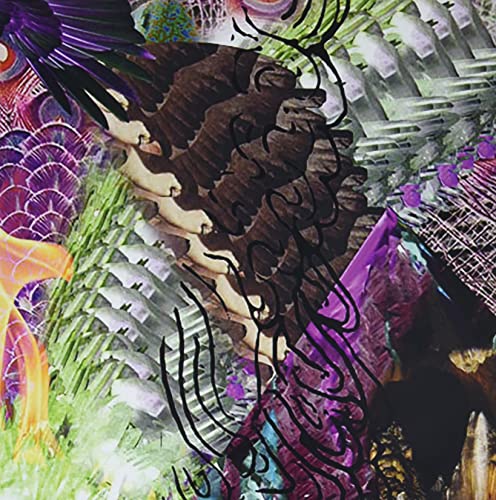 From Rotting Fantasylands (Green/White Vinyl) [VINYL] [Vinyl LP] von Deathbomb Arc