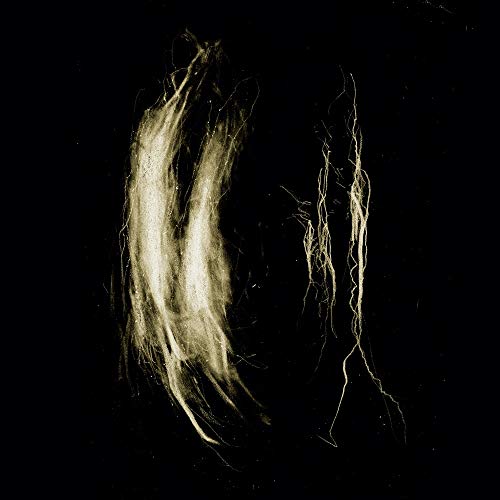 Plague Notes [Vinyl LP] von Deathbomb Arc