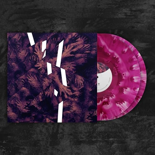 Rien Ne Suffit [Vinyl LP] von Debemur Morti Prod.