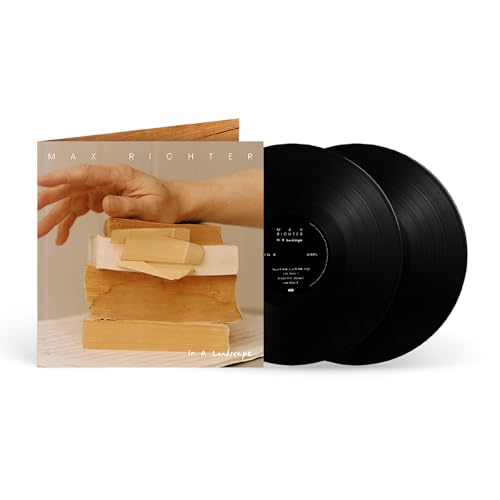 In a Landscape [Vinyl LP] von UNIVERSAL MUSIC GROUP