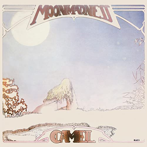 Moonmadness (Vinyl) [Vinyl LP] von Decca (Universal Music)