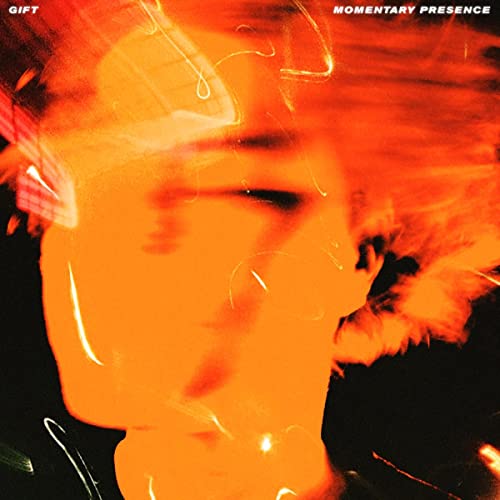 Momentary Presence [Vinyl LP] von Dedstrange (H'Art)