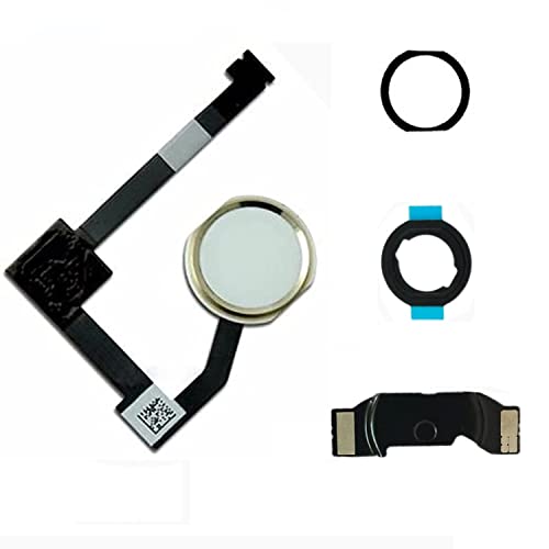 Dedyel Home Button Ersatz für iPad Mini 4 2015 7,9 Zoll (A1538 A1550), iPad Air 2 9,7 Zoll (A1566 A1567 A1568), iPad Pro 12,9 1. Generation 2015 (A1670 A1671) inkl. Flexkabel-Anschluss, Weiß (Goldring von Dedyel