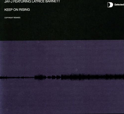 Keep on Rising [Vinyl LP] von Defected
