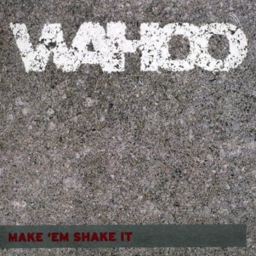 Make Em Shake It [Vinyl LP] von Defected