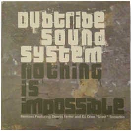 Nothing Is Impossible [Vinyl Single] von Defected