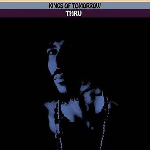 Thru [Vinyl LP] von Defected