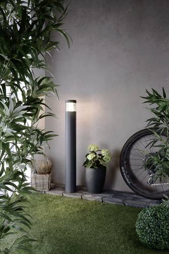 Deko Light Ortis 733004 Außenstandleuchte LED LED fest eingebaut 15.90W EEK: G (A - G) Dunkelgrau von Deko Light