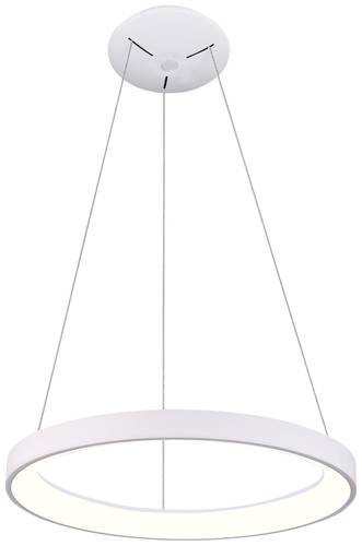 Deko Light Sculptoris 800 342197 Pendelleuchte LED LED fest eingebaut EEK: F (A - G) 60W Verkehrswei von Deko Light