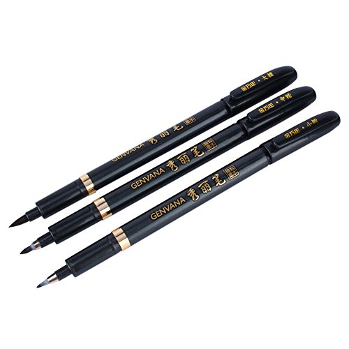 Delaman Kalligrafie Stift Set 3 Pinselstift mit weich Spitze für Schreiben Schriftzeichen Manga Handlettering (Schwarz) von Delaman