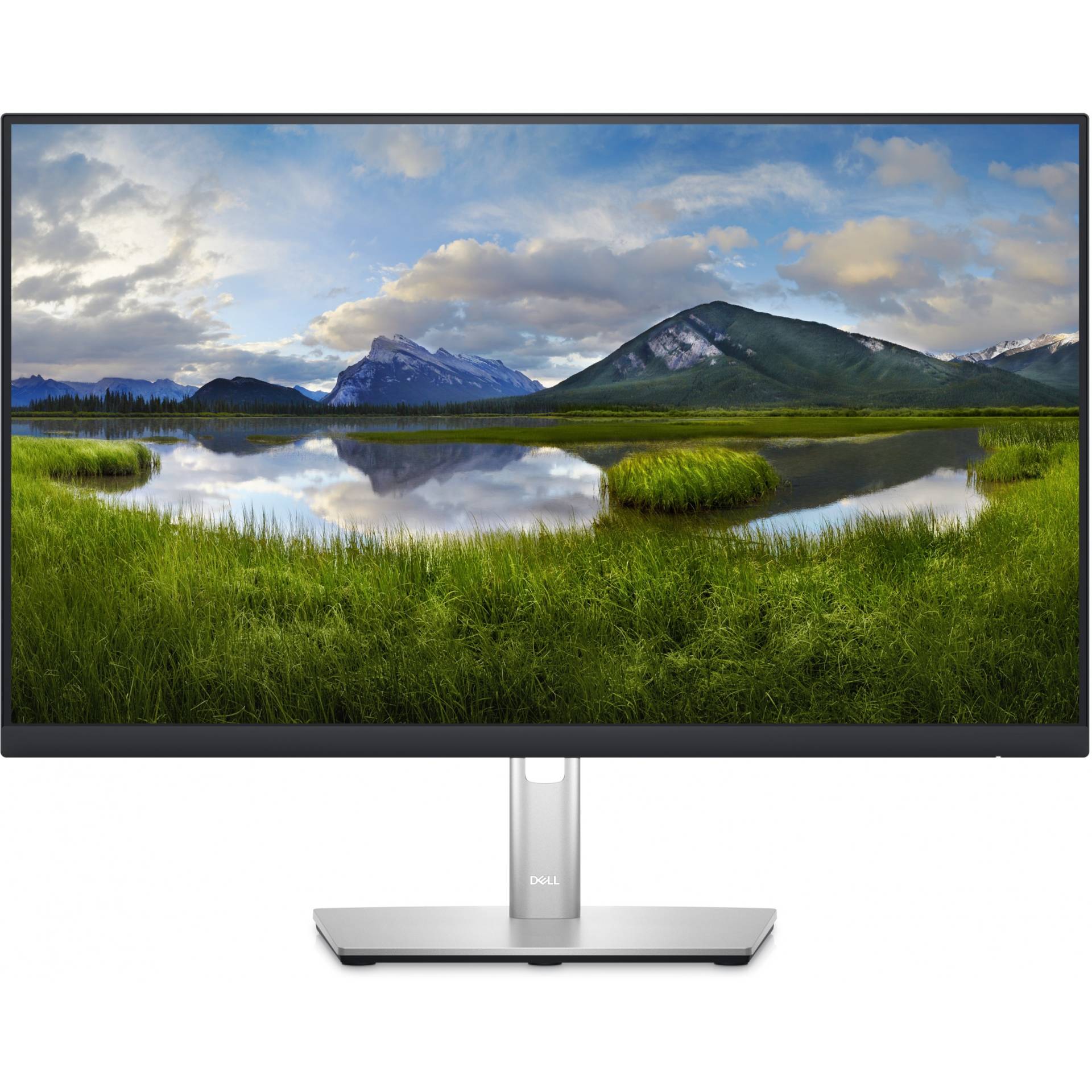 DELL P Series P2423DE LED display von Dell