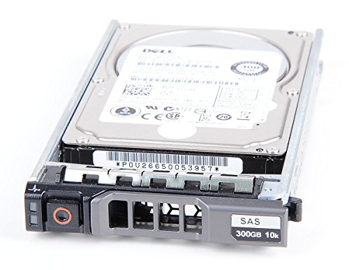 Dell 300 GB 6G Dual Port 10K SAS 2.5' Hot Swap Festplatte/Hard Disk für T-/R-Serie - 0740Y7/740Y7 (Generalüberholt) von Dell