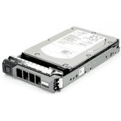 Dell 342-5295 4-TB 6G 7.2K 3.5 SAS w/F238F von Dell