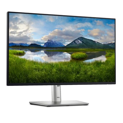 Dell 60,47cm/23,8" (1920x1080) P2425HE 16:9 FHD IPS 5ms 100Hz HDMI DP USB-C RJ45 Black/Silver von Dell