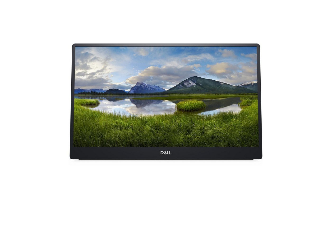 Dell Dell P1424H TFT-Monitor (1.920 x 1.080 Pixel (16:9), 6 ms Reaktionszeit, 60 Hz, IPS Panel) von Dell