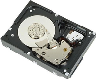 Dell - Festplatte - 1 TB - intern - 3.5 (8.9 cm) - SATA 6Gb/s - 7200 U/min - für PowerEdge R230, R330, T130, T330, T430 von Dell