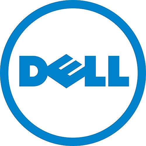 Dell HD 300G SAS6 10K 2.5 S-LIT E/C, PGHJG (zertifiziert generalüberholt) von Dell