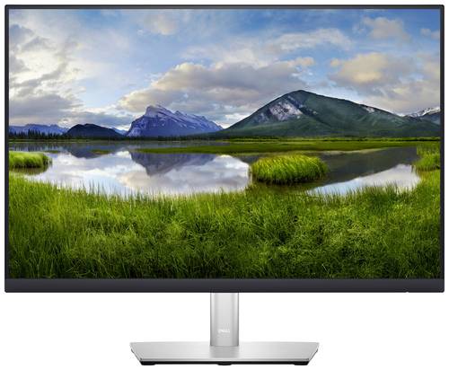 Dell P2423 Professional LED-Monitor EEK D (A - G) 61cm (24 Zoll) 1920 x 1200 Pixel 16:10 5 ms Displa von Dell