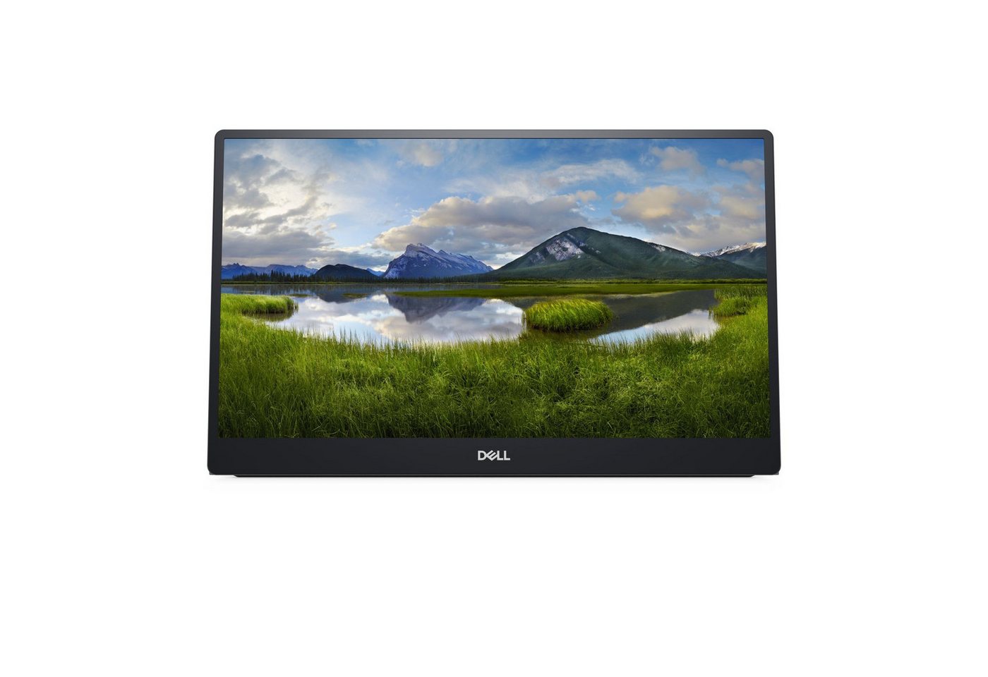 Dell Portable LED P1424H - 35.56 cm (14) - 1920 x 1080 Full HD TFT-Monitor (1920 x 1080 px, Full HD, 6 ms Reaktionszeit, 60 Hz, IPS, Touchscreen, HDCP) von Dell