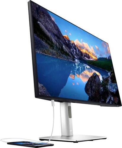 Dell U2421E LED-Monitor EEK E (A - G) 61.2cm (24.1 Zoll) 1920 x 1200 Pixel 16:10 8 ms DisplayPort, H von Dell