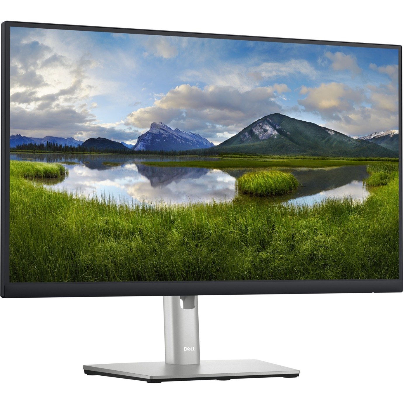 P2423D, LED-Monitor von Dell