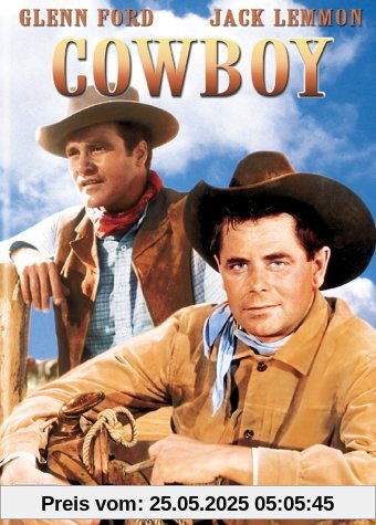 Cowboy von Delmer Daves