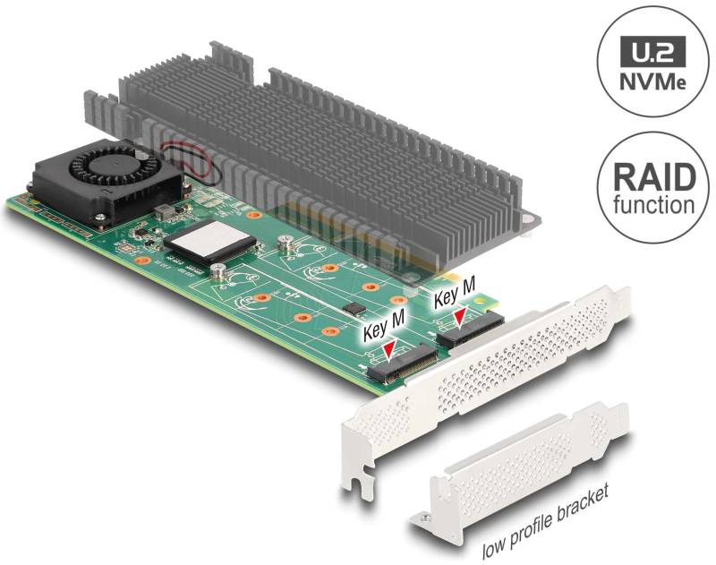 DELOCK 90123 - PCIe x8 > 2x NVMe M.2 Key M mit RAID, LP von Delock